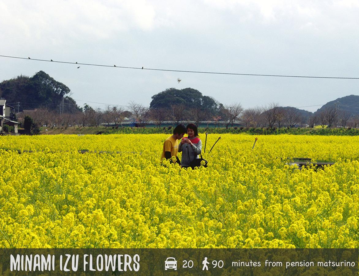 Pension Matsurino 伊豆市 エクステリア 写真